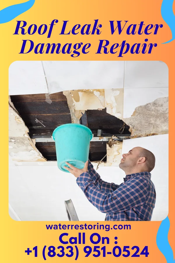 Roof Leak Water Damage Repair in Bartlett, TN