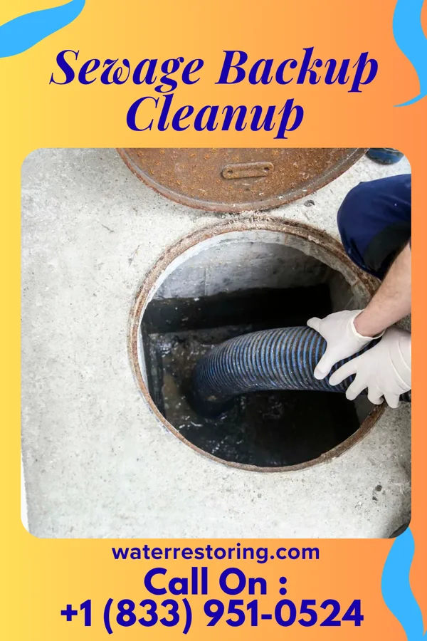 Sewage Backup Cleanup in Bartlett, TN