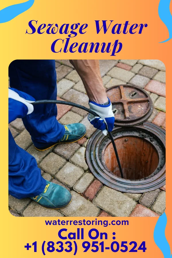 Sewage Water Cleanup in Bartlett, TN